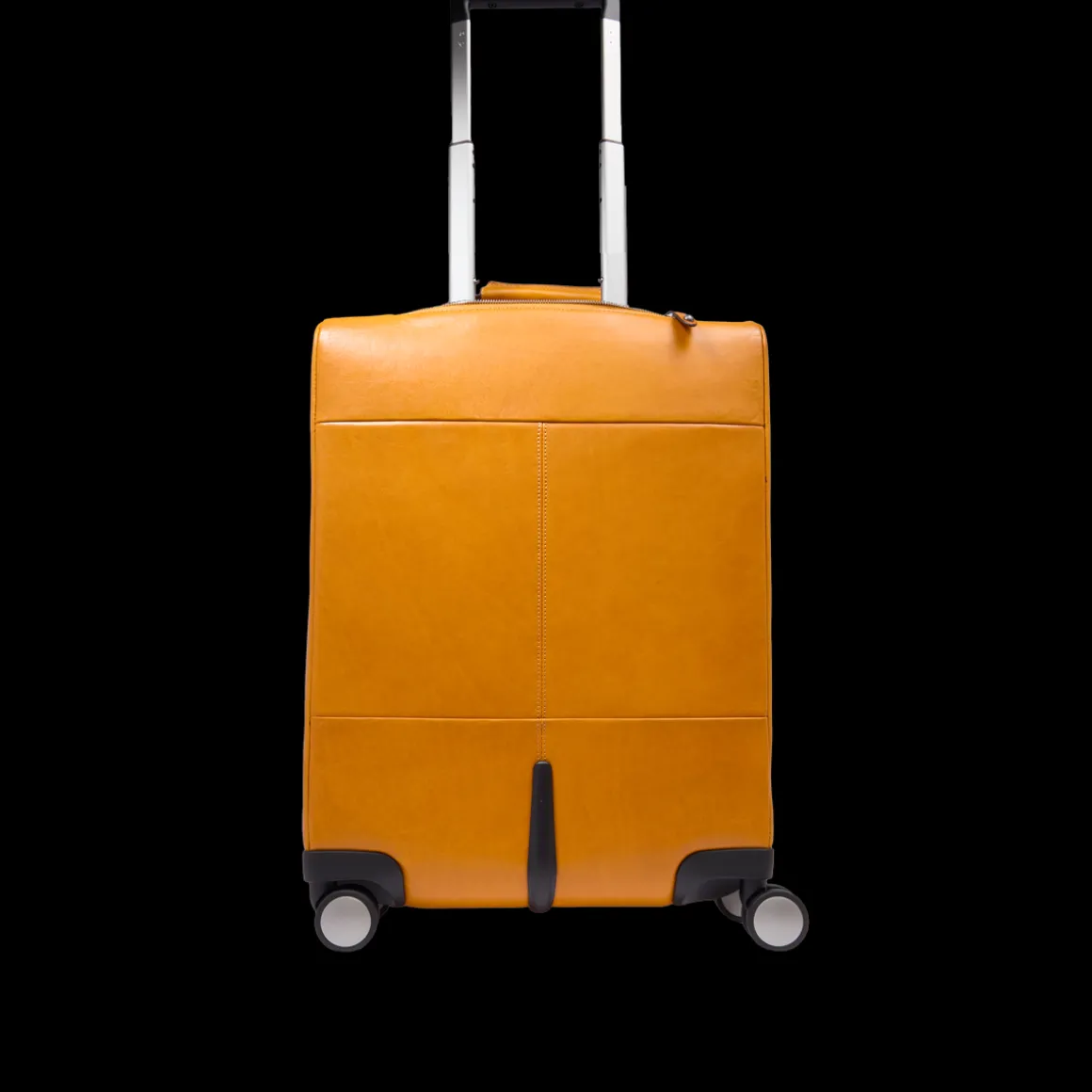 Trolley in pelle