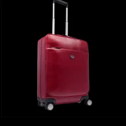 Trolley in pelle